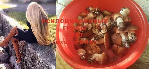 PSILOCYBIN Богородск