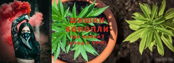 PSILOCYBIN Богородск