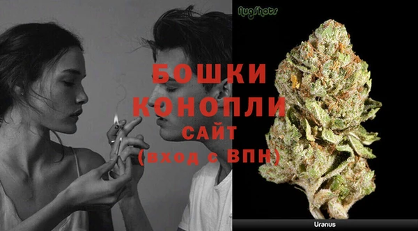 PSILOCYBIN Богородск